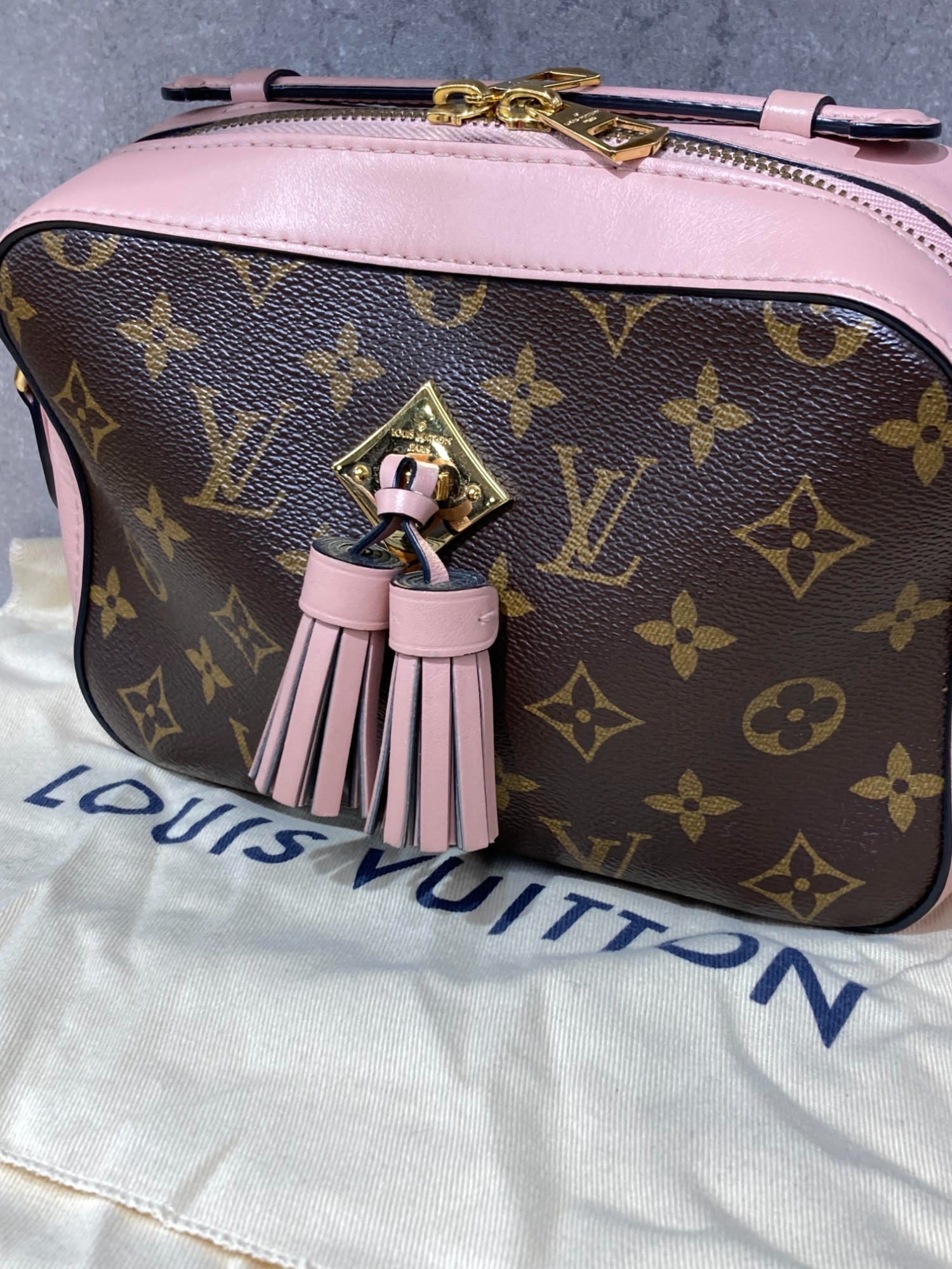 2023AW新作♪】Louis Vuitton☆ショルダーバッグ ディアヌ (Louis Vuitton/ショルダーバッグ・ポシェット)  M46583【BUYMA】