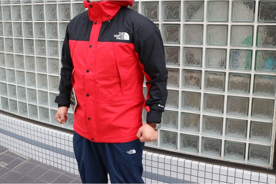 THE NORTH FACE（ノースフェイス）からMOUNTAIN LIGHT JACKETを未使用