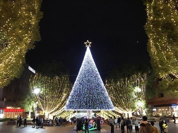 「店舗からのお知らせのイベントなう 」