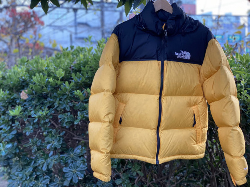 変革のパワーを授ける・願望成就 THE NORTH FACE ヌプシです。 | ochge.org